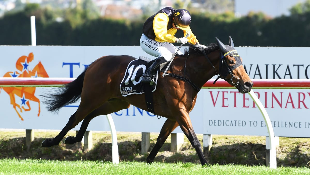 Wexford Stables Brings Strong Quartet to Legacy Lodge