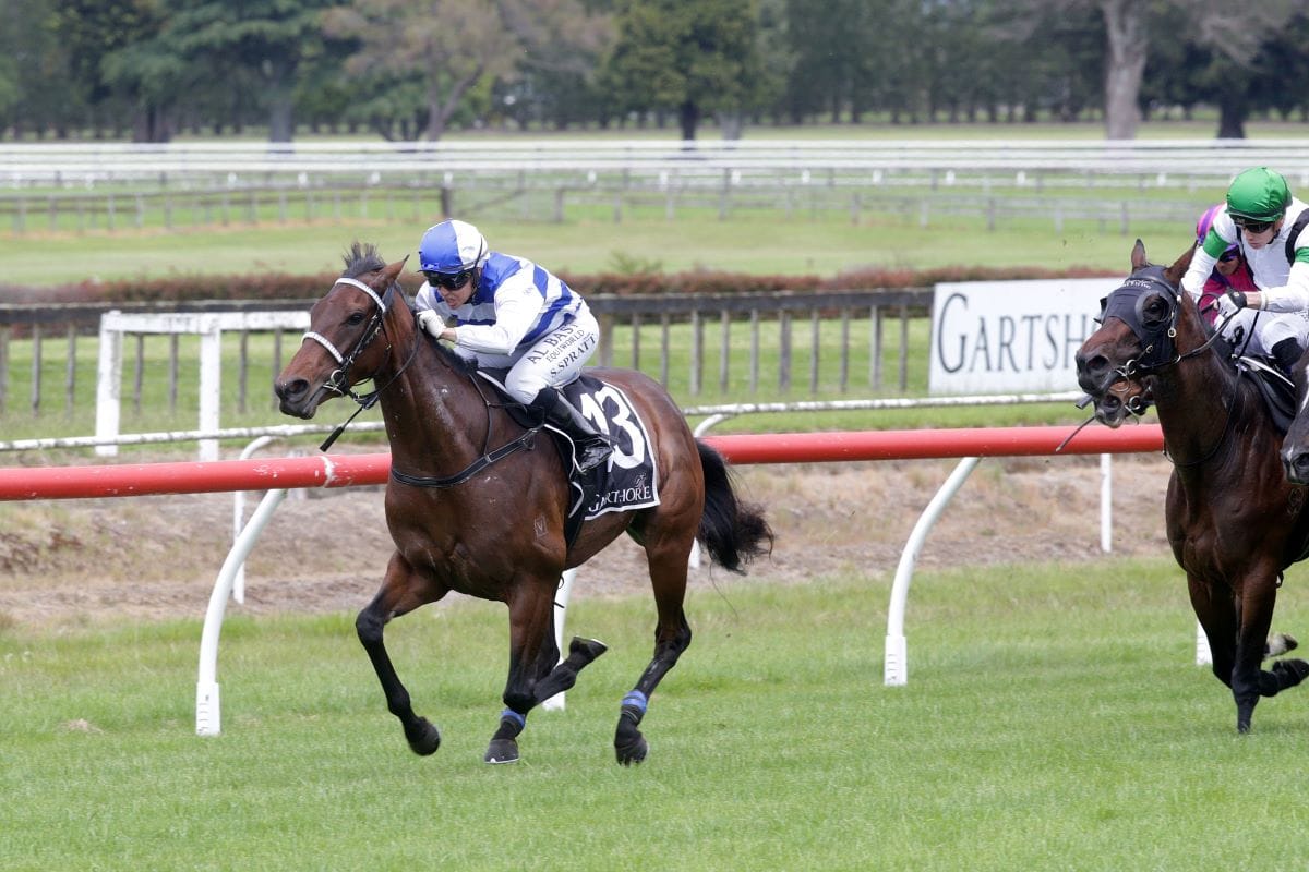 Trainers chasing Group success from new base