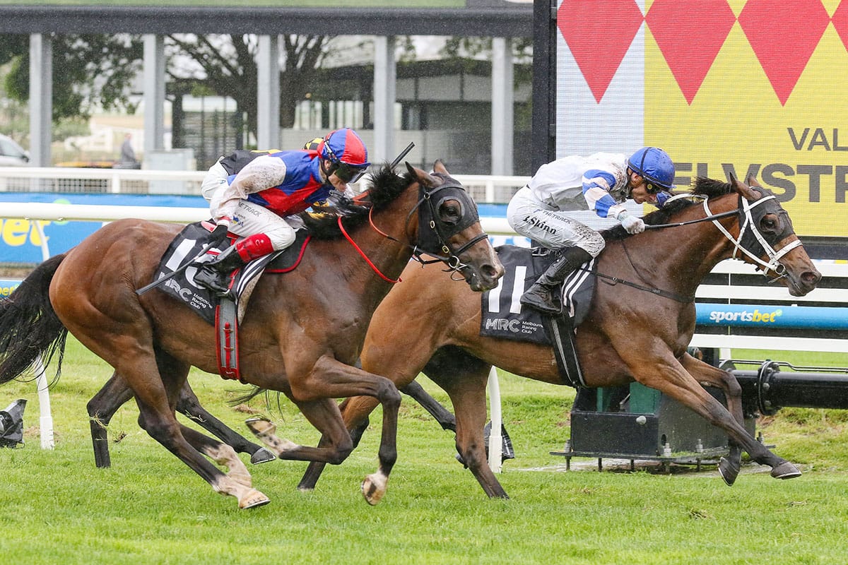 Kadavar extends perfect 2400m record