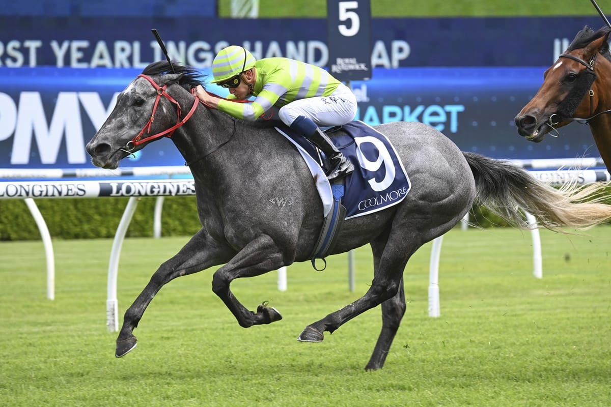 Pride to hit The Gong with in-form trio