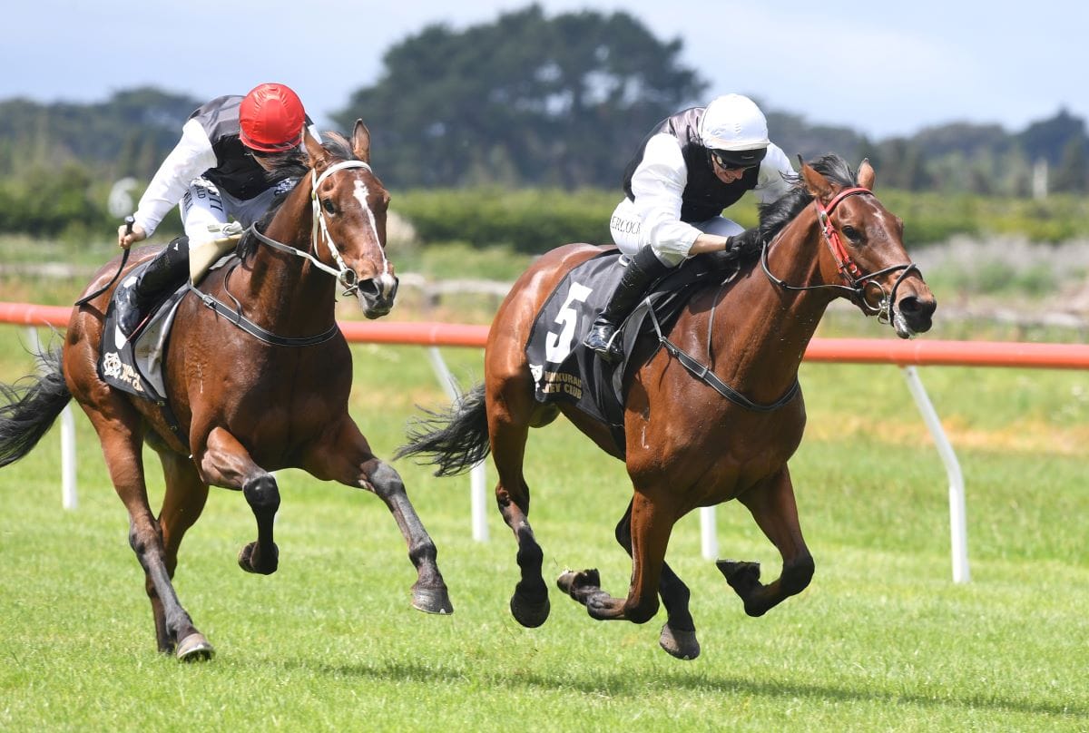 Skippers Canyon on song for Wellington Stakes