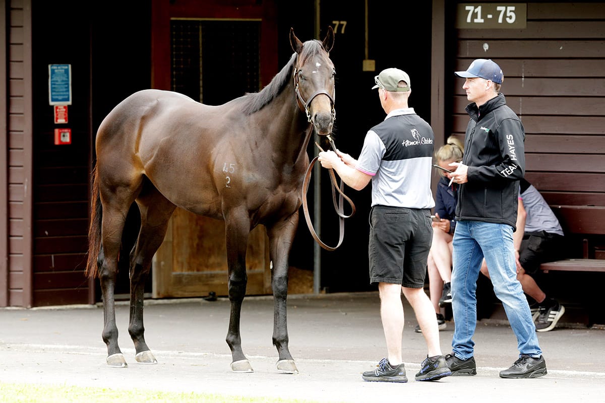 Ready to Run Sale going from strength to strength