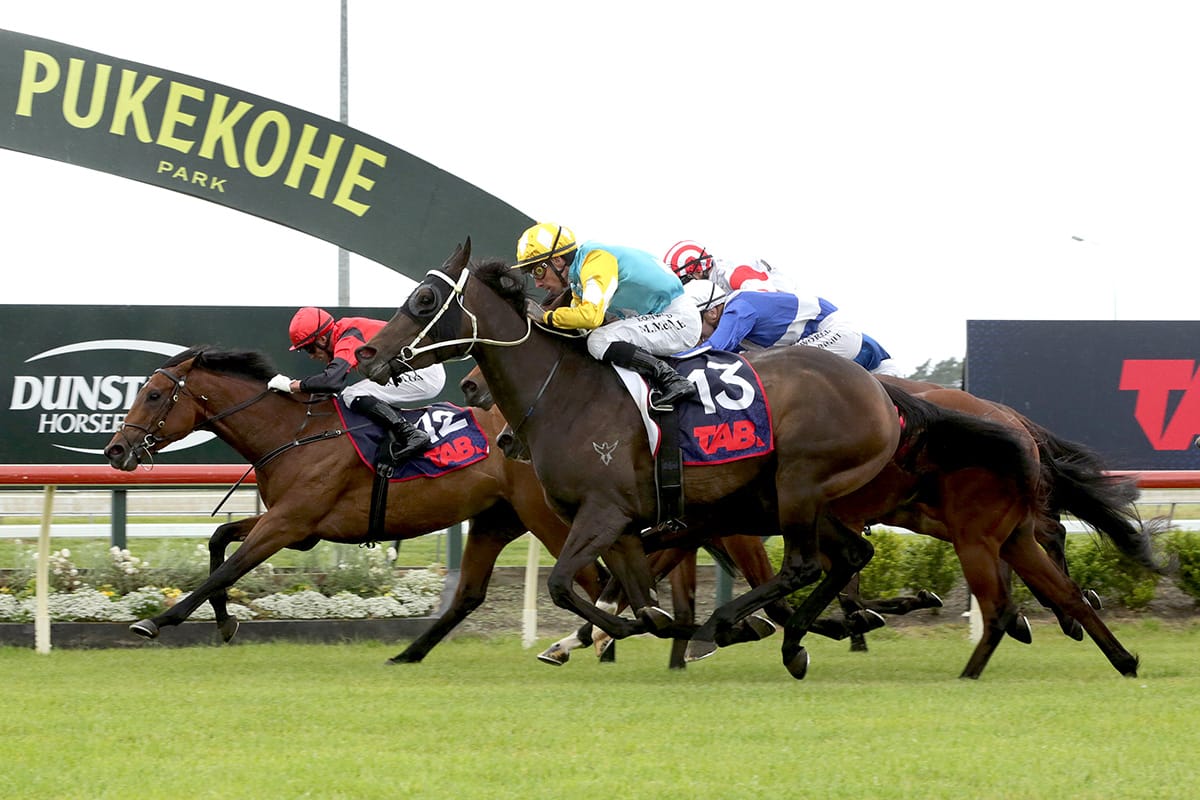 Mi Bella out to continue stable success at Te Aroha