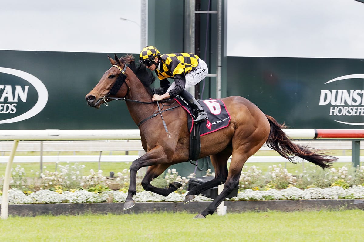 Luberon classy in the Counties Bowl