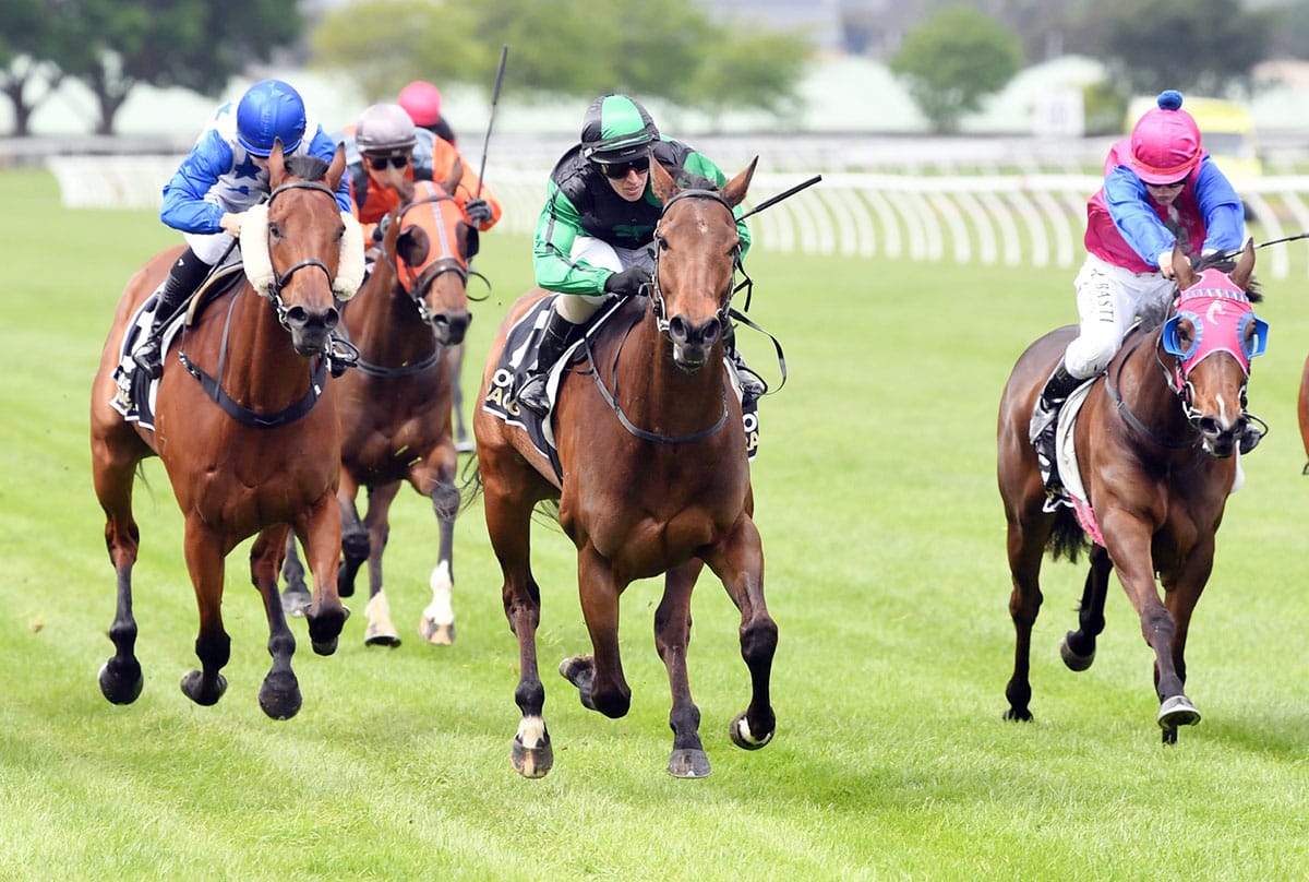 Molly Secures Three Wins in a Row