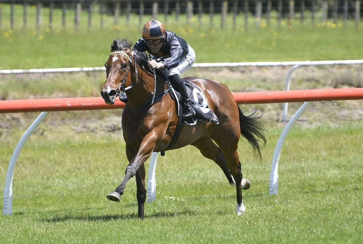 Racetrack double lifts 2YO Sale spirits