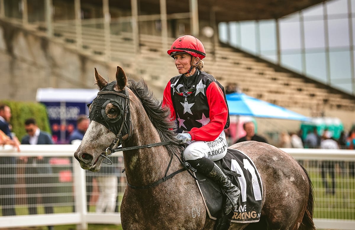 The Grey Goose flying ahead of distance targets