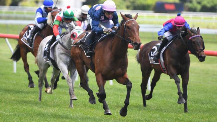 Yulong makes a winning move for quality three-year-old