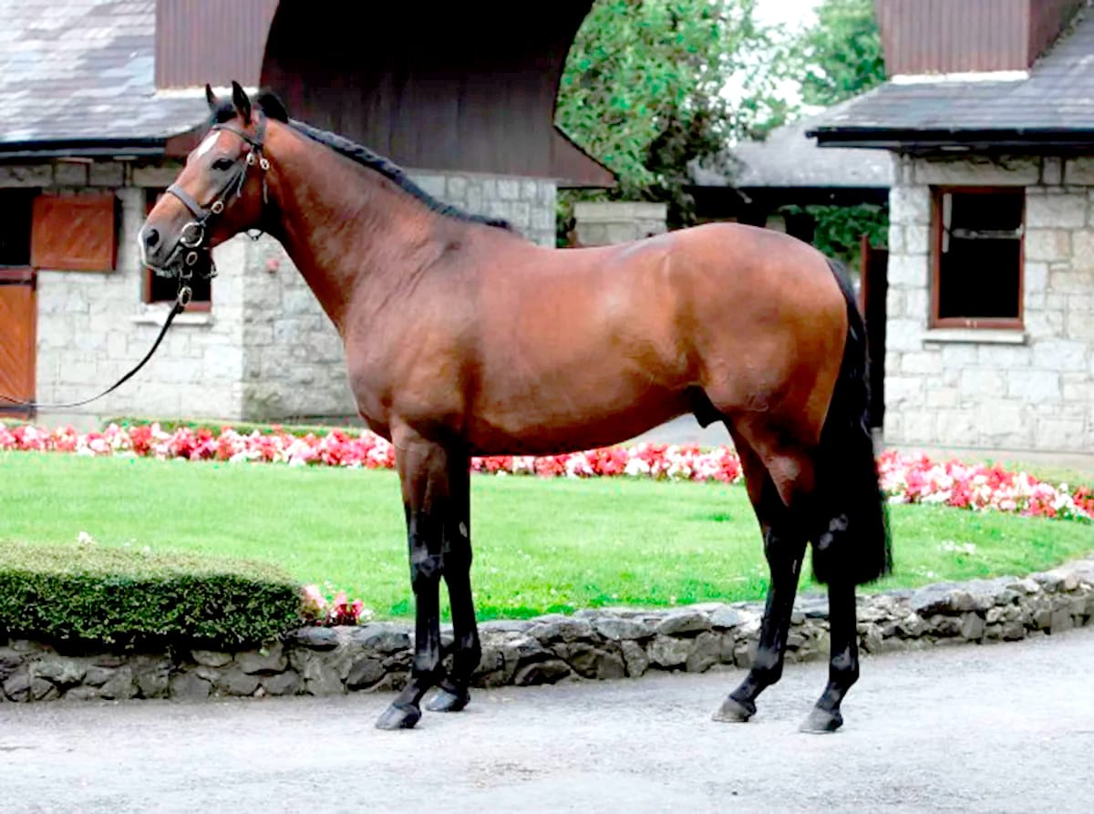 Raise The Flag fondly remembered