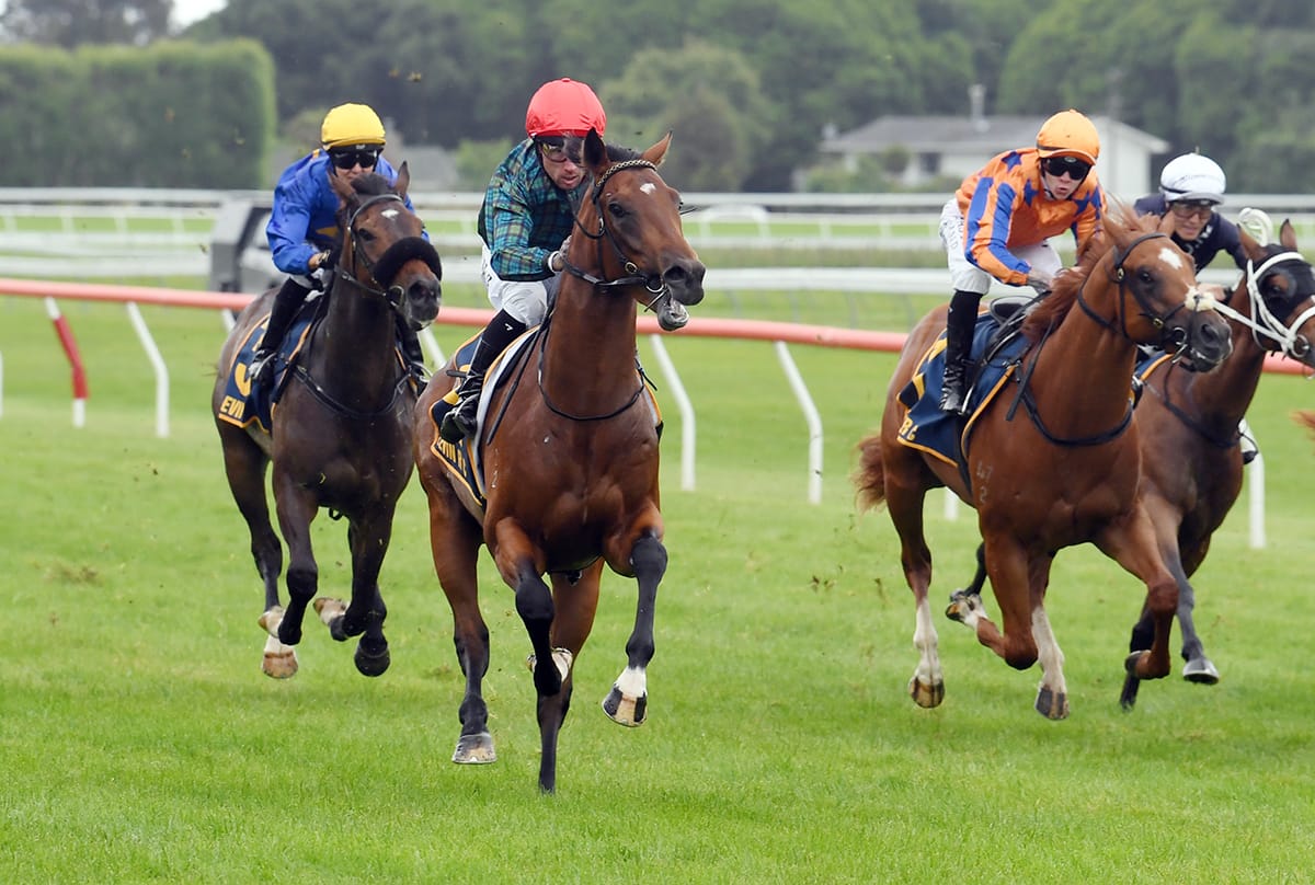 Karaka Millions is the goal for green colt