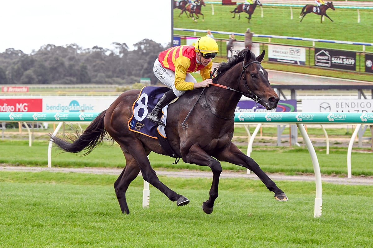 Rue de Royale Sets Sights on the Sapphire Stakes