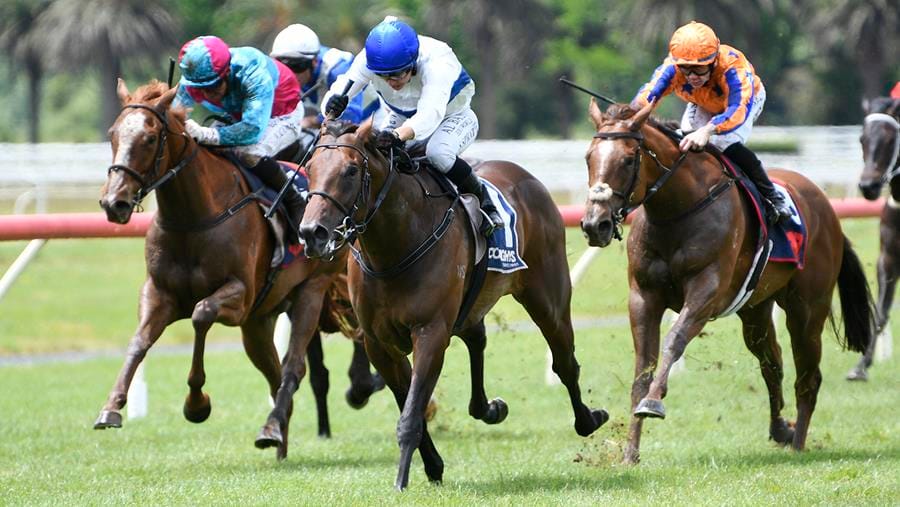 $1million NZB Kiwi Bonus Up for Grabs