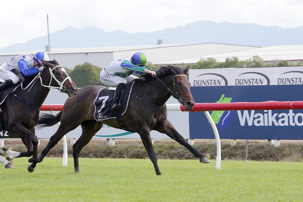 Smart win for progressive filly
