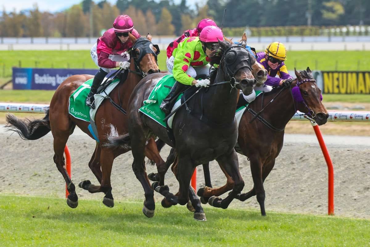 Third Decree well-placed in Breeders’ Stakes