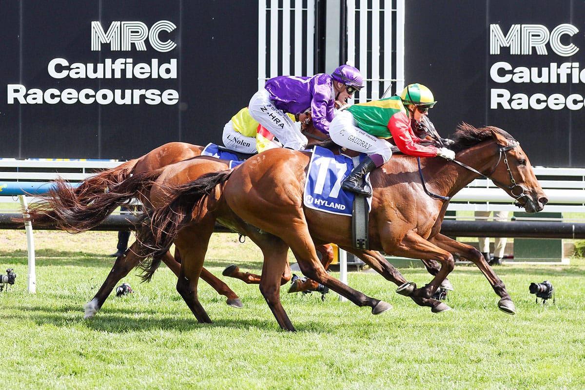 Torranzino plunders Country Cups Final