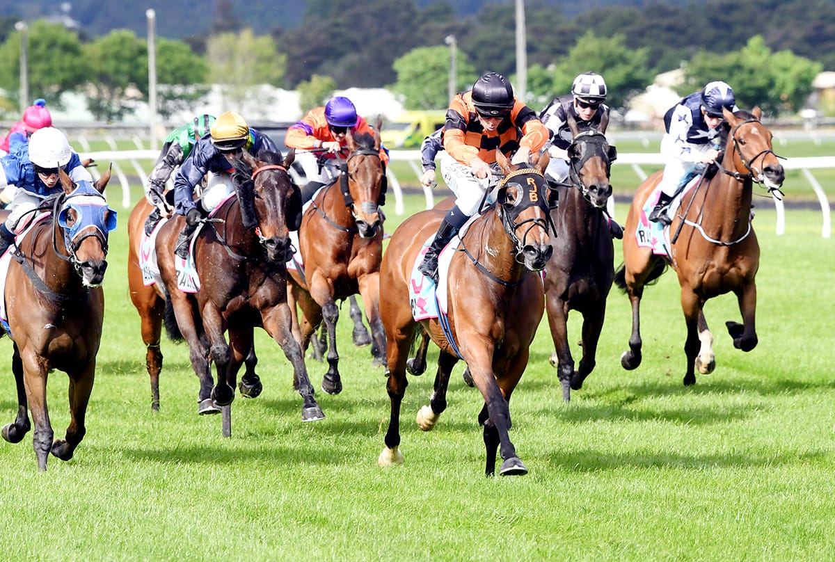 Town Cryer continues Group One preparation at Foxton