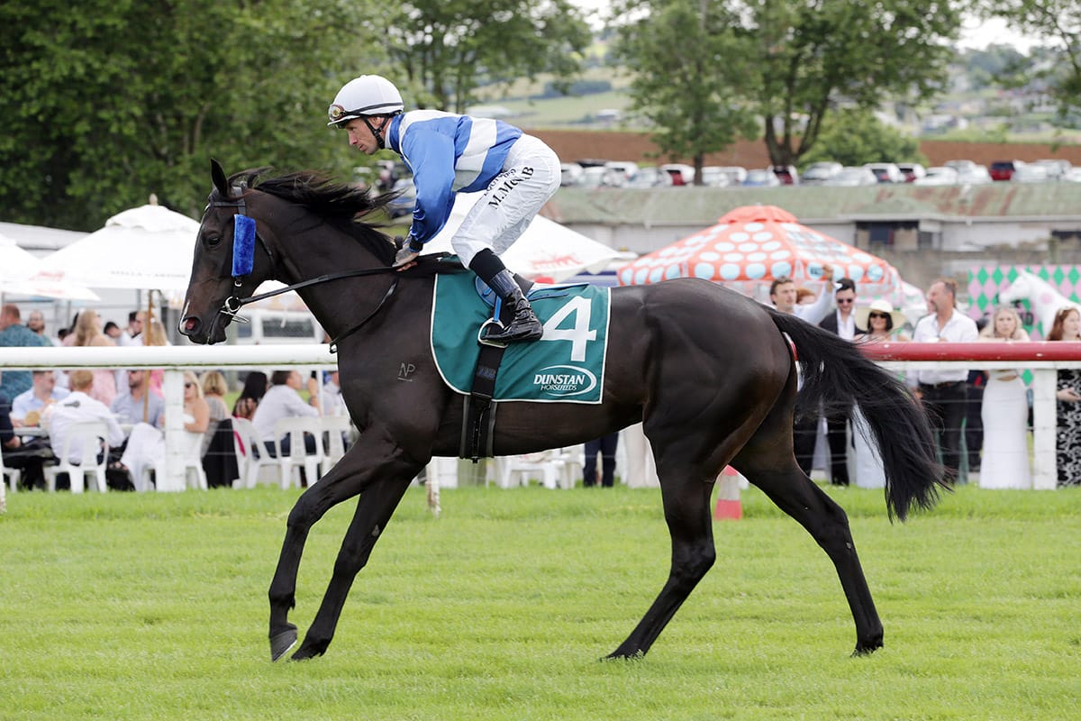 Cooksley looking to rectify Melbourne Cup disappointment