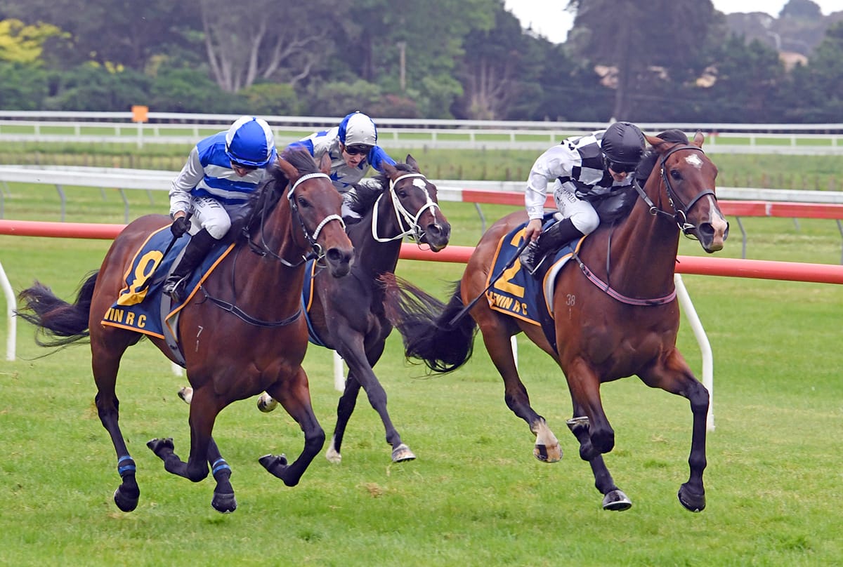 Tuxedo Shines in Wellington Stakes Victory