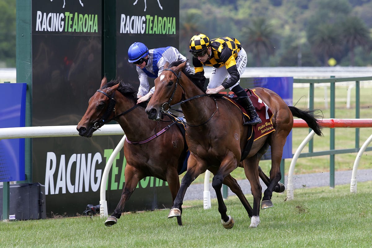 Stud Gallopers Shine for Ritchie and Murray