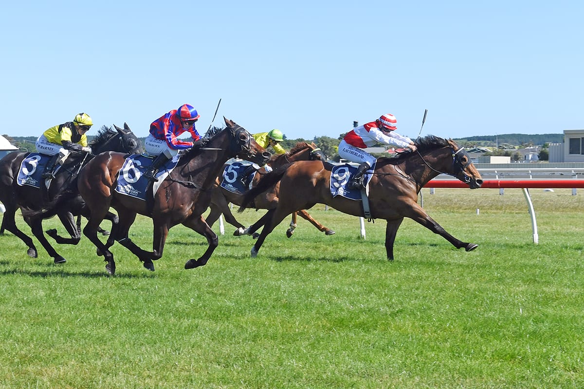Whangaehu wins Wanganui Cup