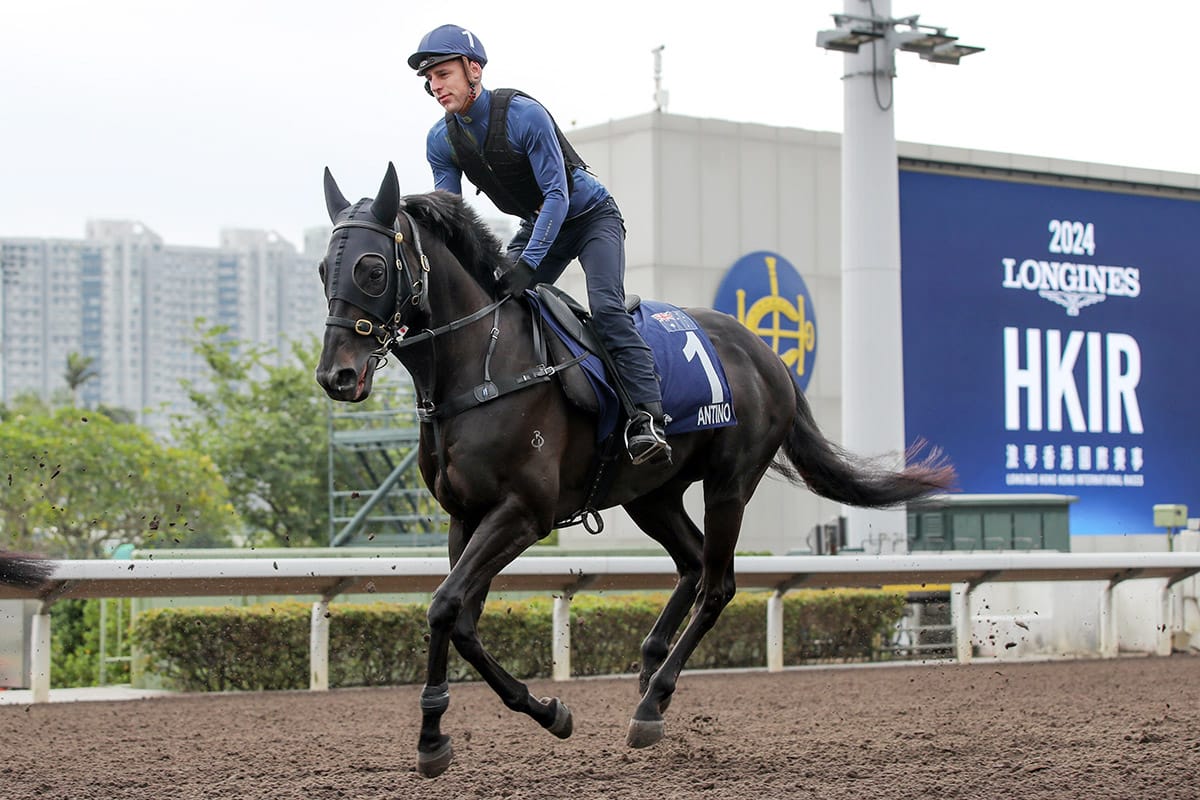 Audio: Racing Pulse with Michael Felgate