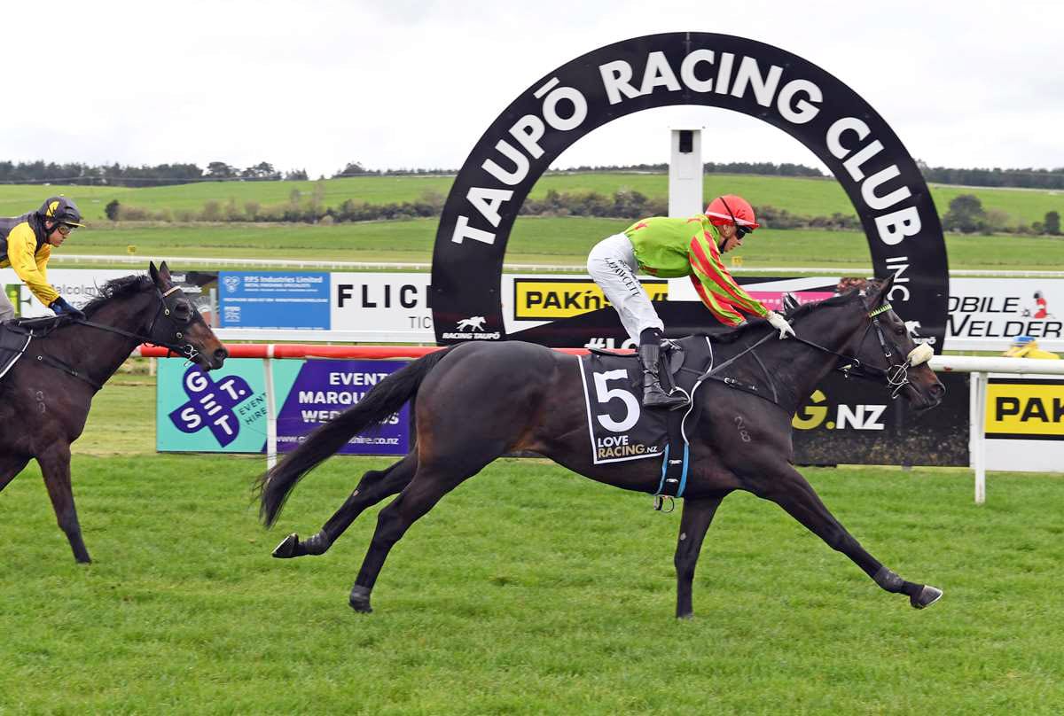 Phelan Eyes Gold at Tauranga