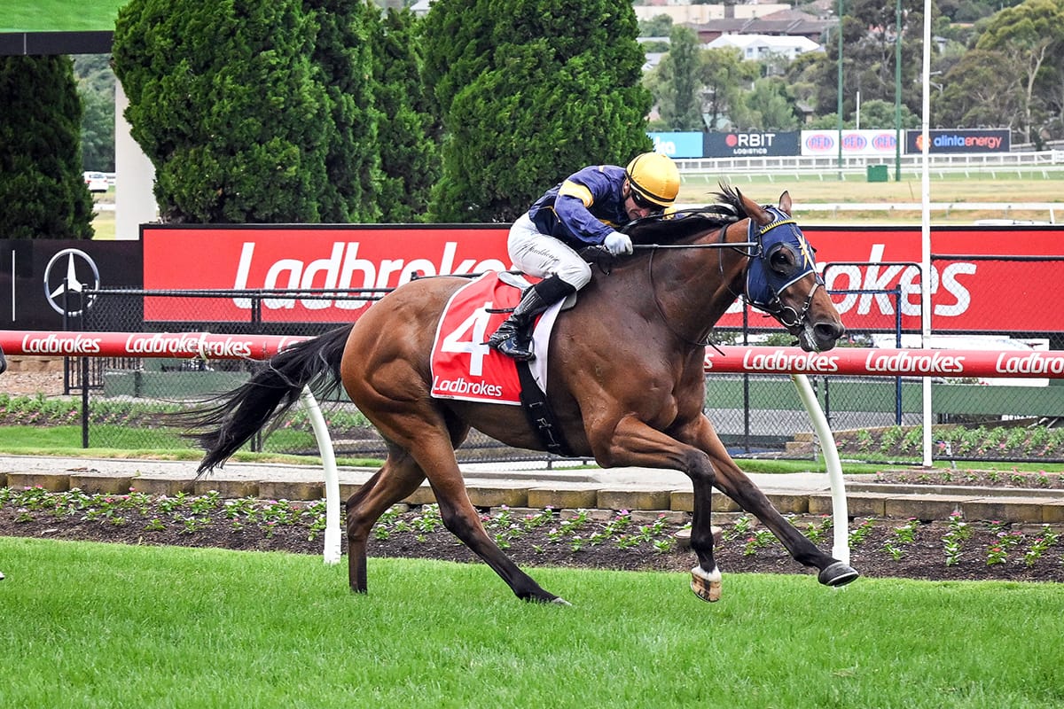 Bankers Choice back in winning form