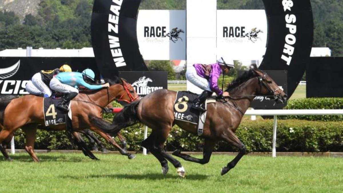 Booming return by Belle’s Echo