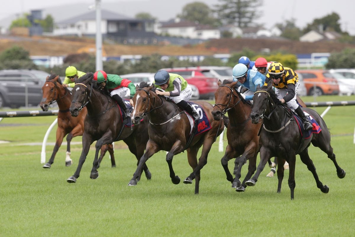 Dazzling display by Cambridge Stud mare