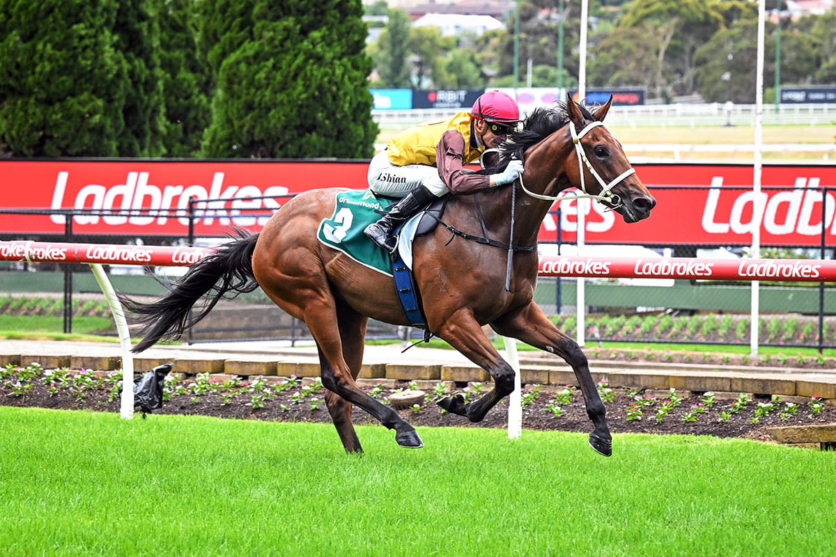 Field Of Play dominant on debut