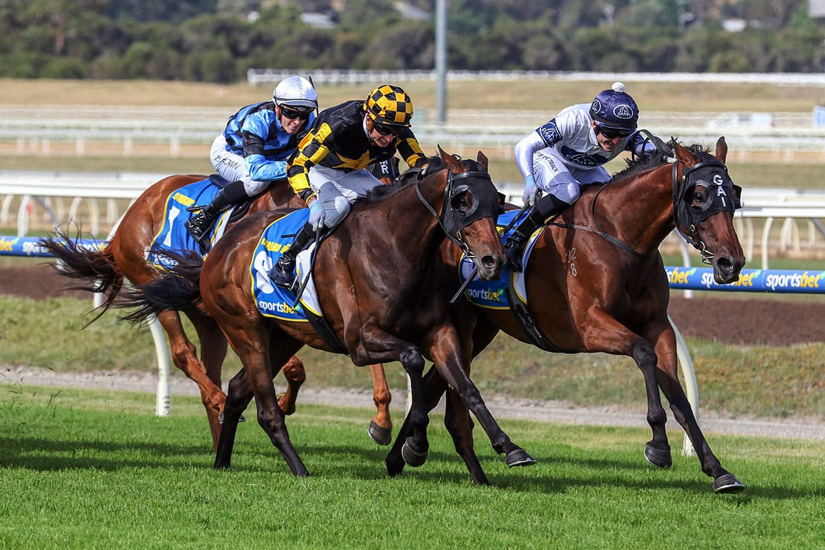 Gritty Goldman wins Pakenham Cup