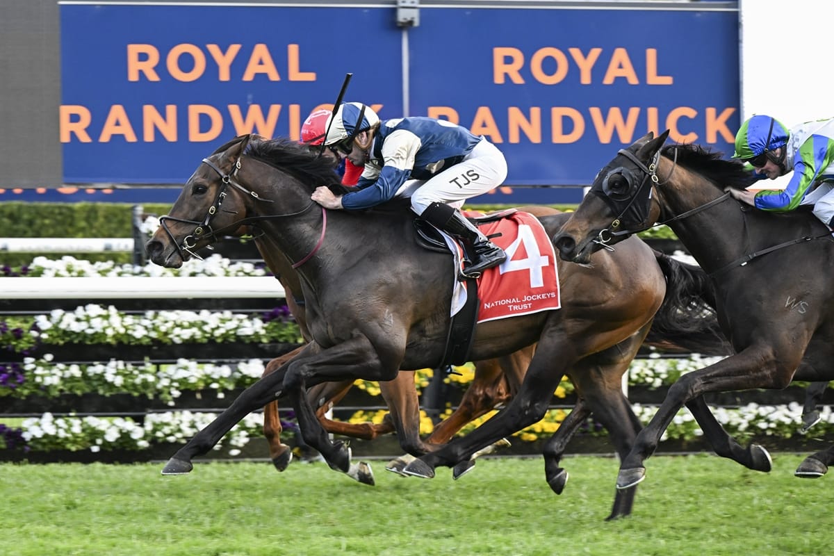 Berry banking on Gringotts to continue climb in Ingham