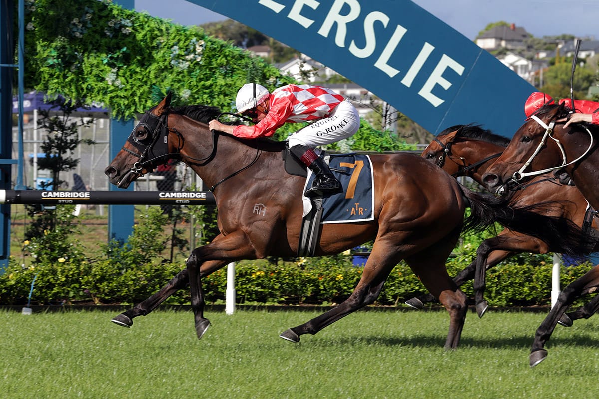 Hasstobeawinner takes his crown in Stella Artois Final