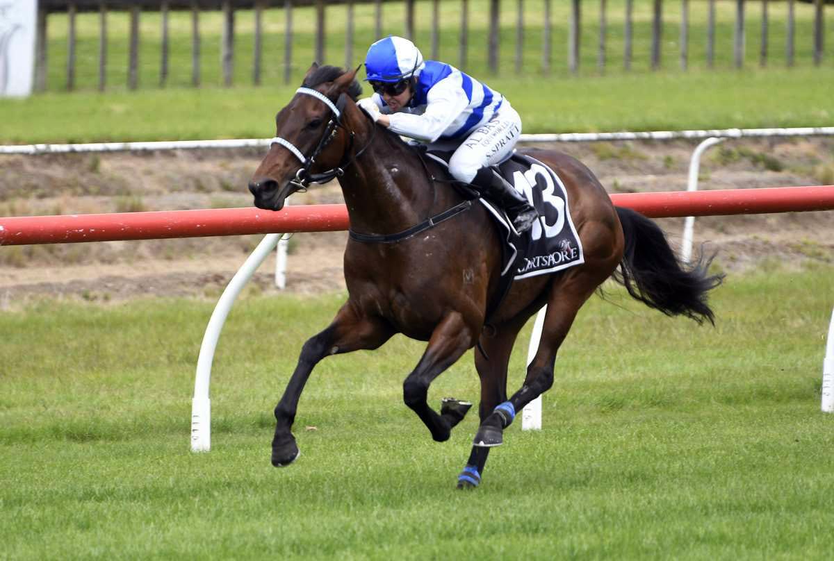 Island Life Returns to Fillies Company for Eulogy Stakes