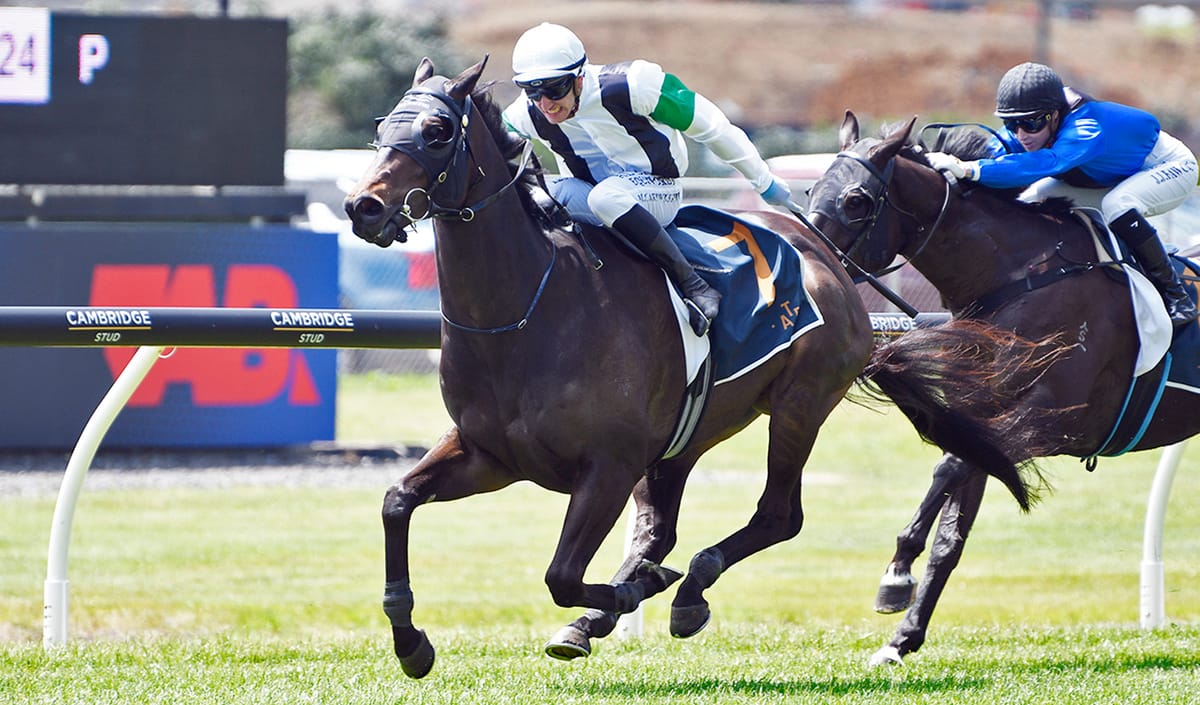 New Game Plan for Talented Witz End