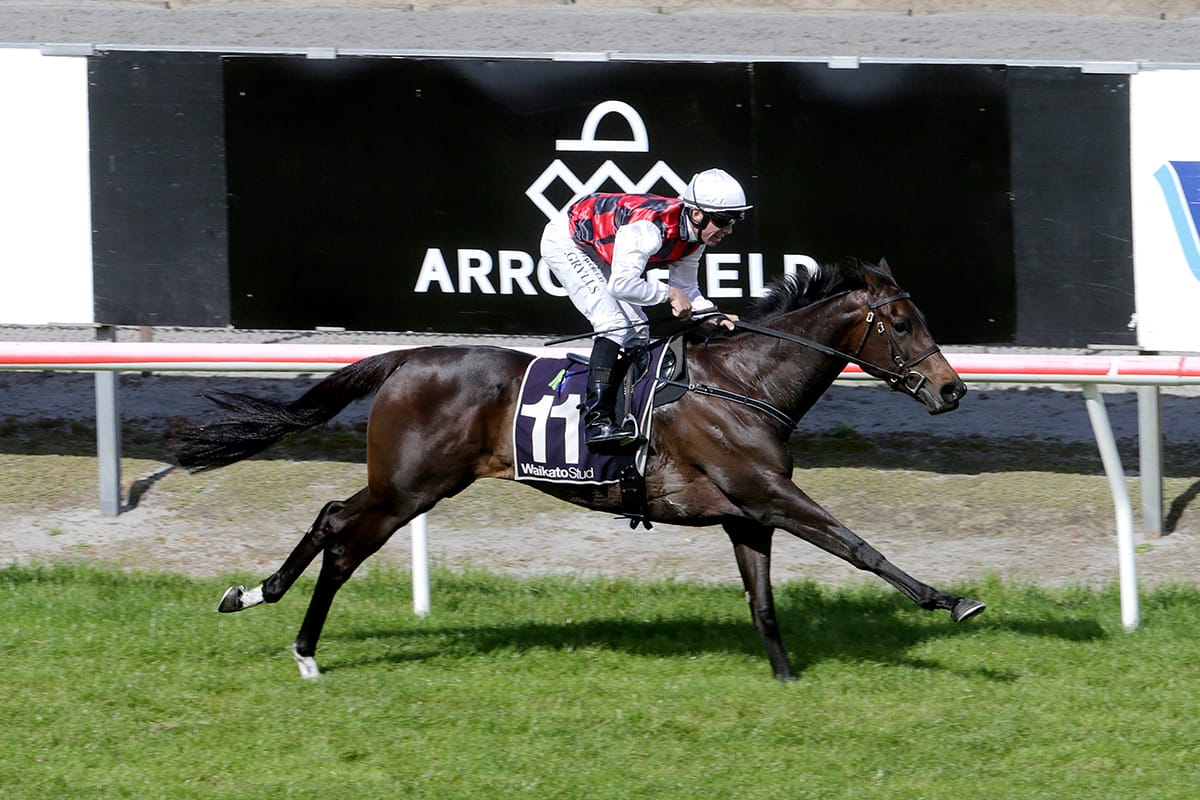 La Crique Eyes Boxing Day at Ellerslie