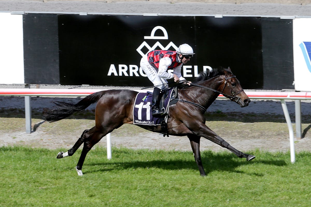 La Crique Targets Elite Glory at Trentham