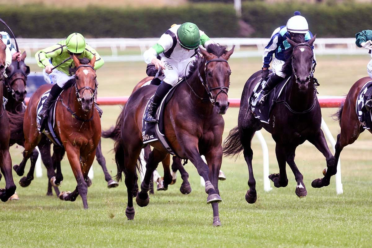 Lanikai rewards patience with Taupo win