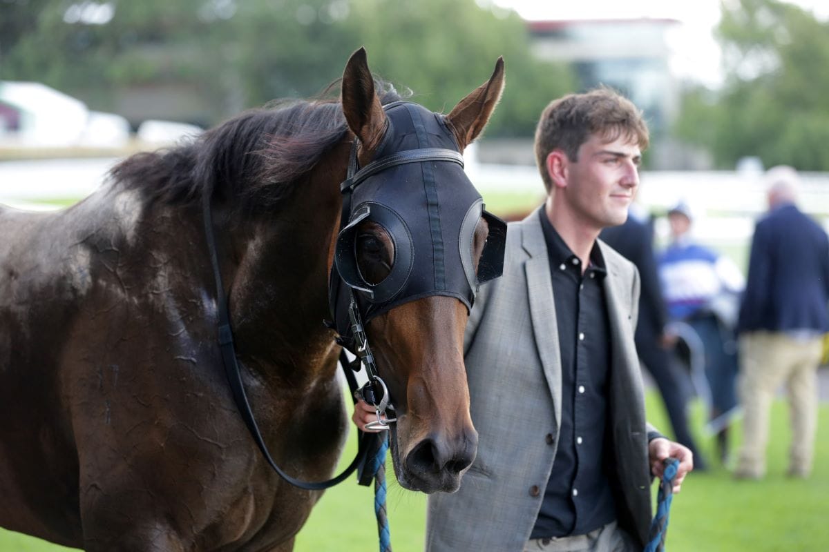 Family eyeing off Ellerslie feature race double