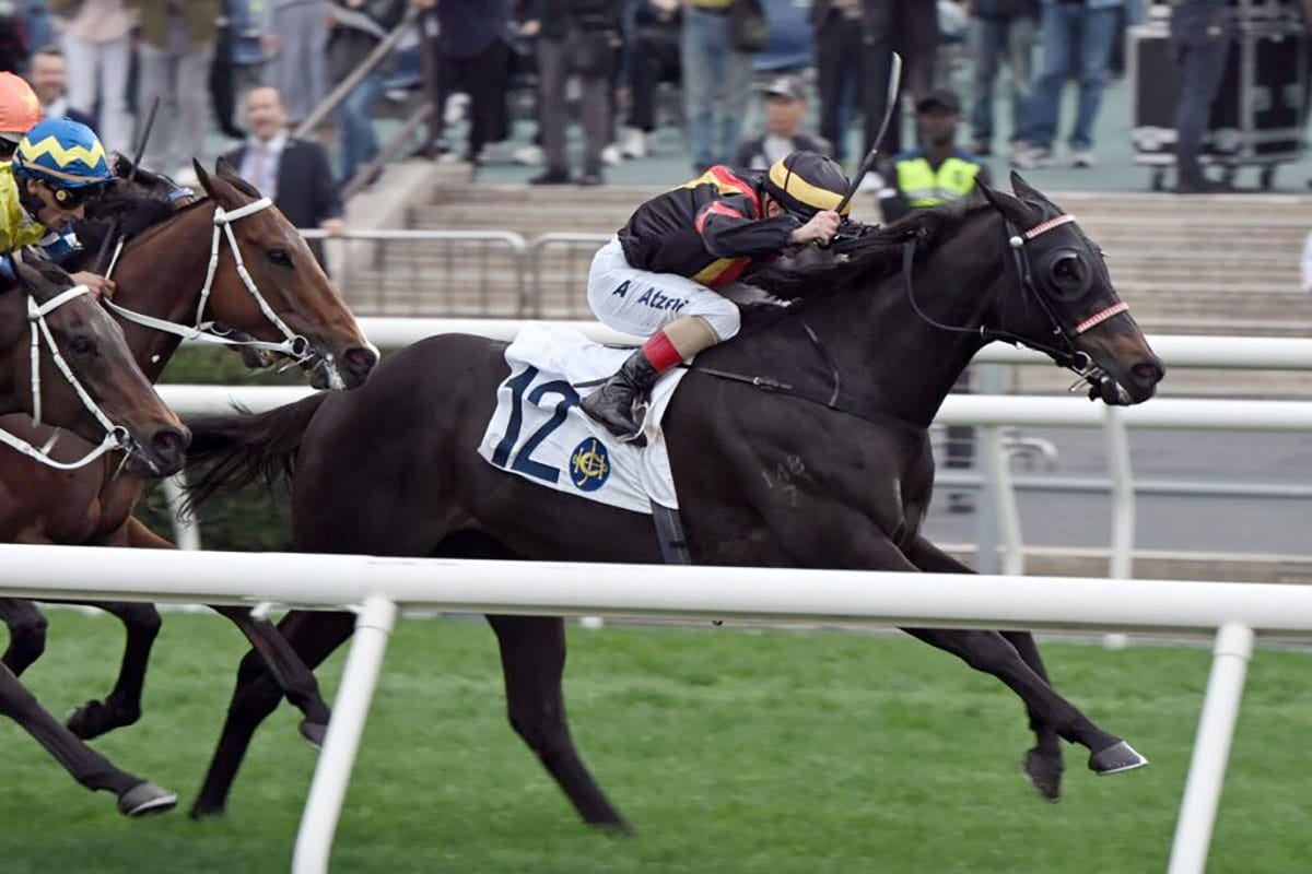 Fresh Nimble Nimbus seeking upset in Hong Kong Cup