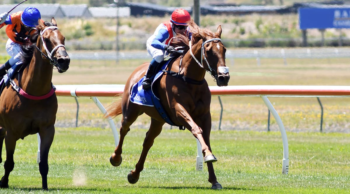 Trentham trip in the offing for Our Echo