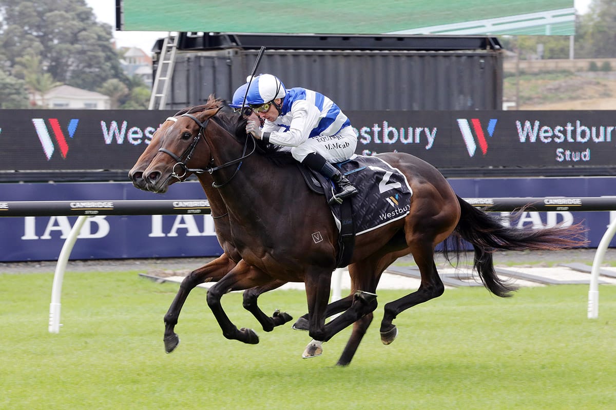 Pearl puts perfect Trentham record on the line in Group One quest