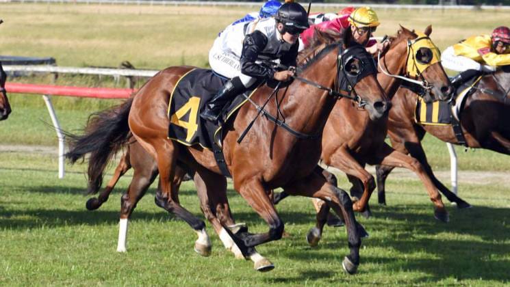 Tauherenikau winner is a rising Star for Forsman