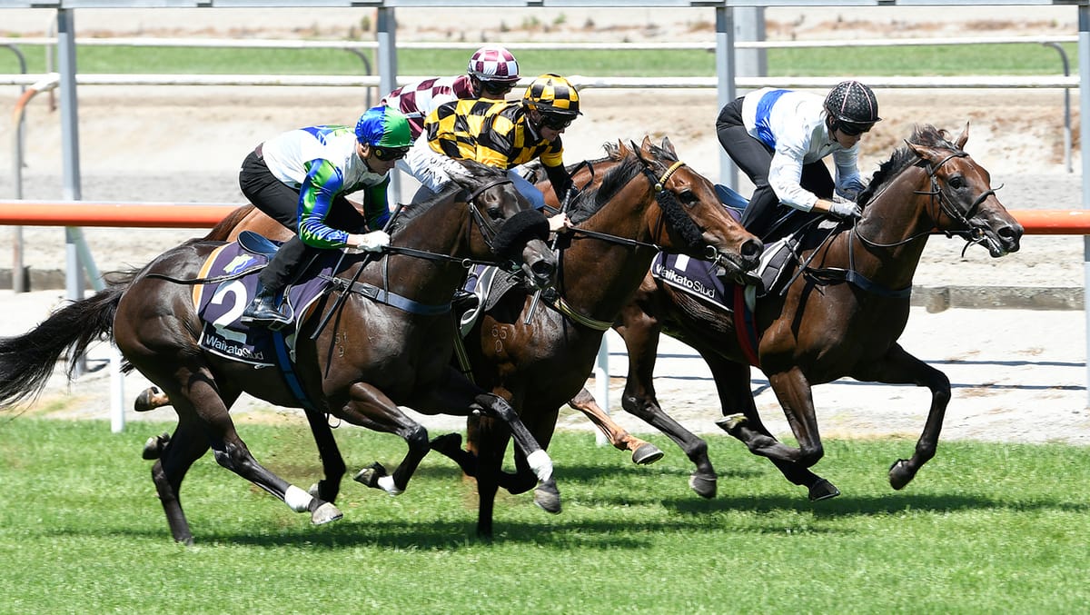 Stars impress in Matamata trial