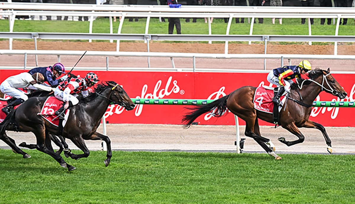 Browne Stable Sets Sights on Autumn Campaign