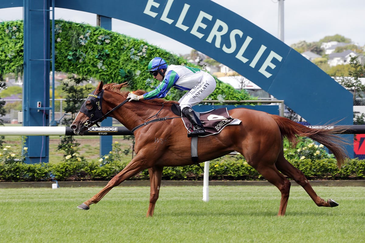 Bonecrusher quinella continues Wexford run