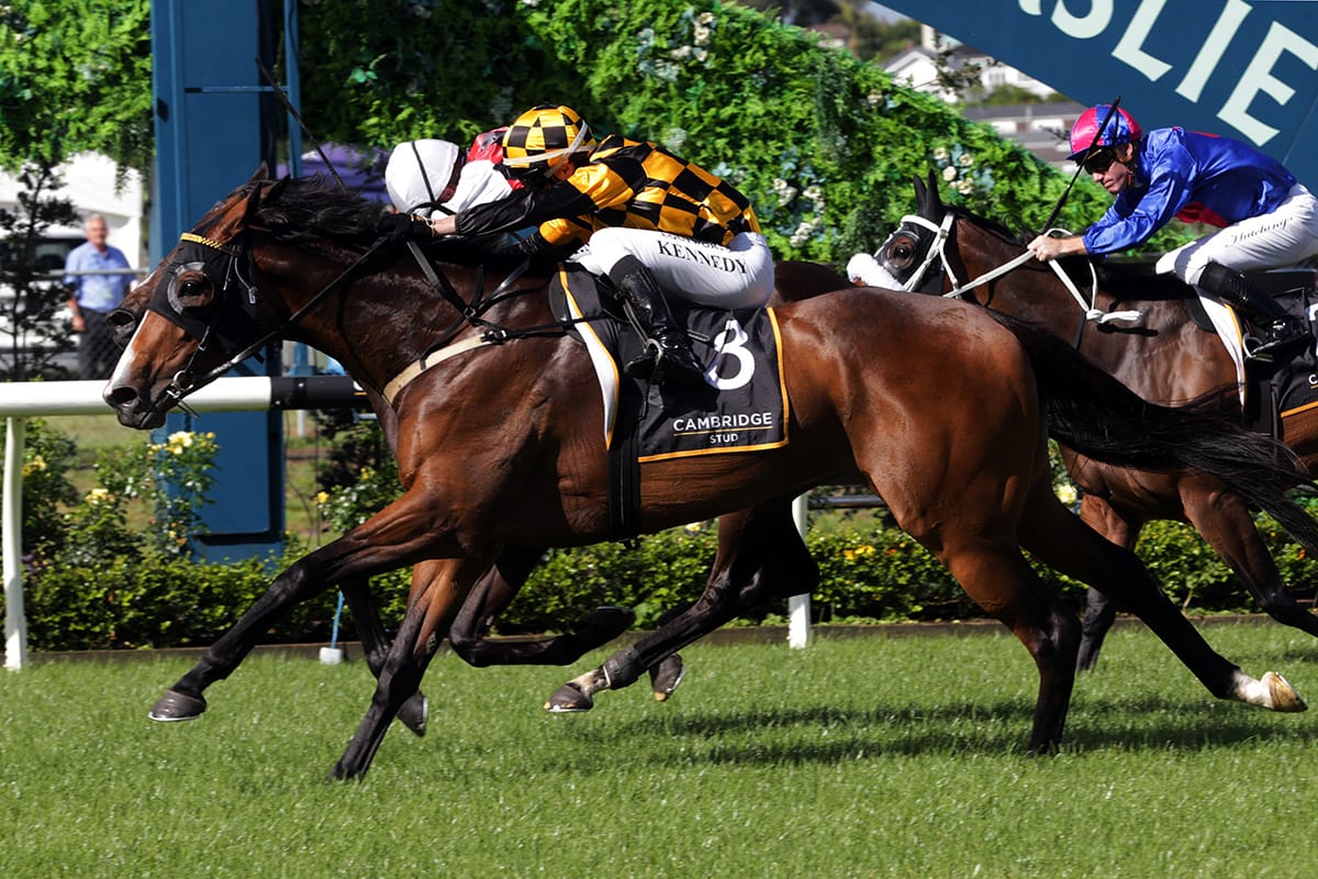 Snazzytavi Claims Zabeel Classic Glory for Cambridge Stud