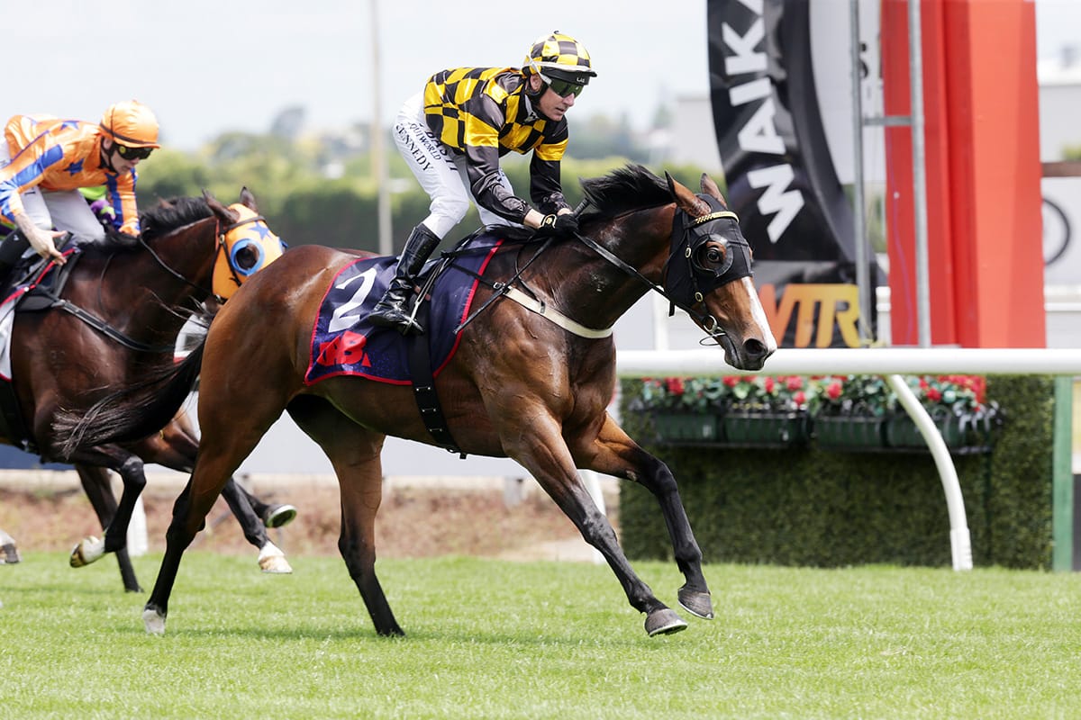 Snazzytavi storms to victory in Te Rapa feature