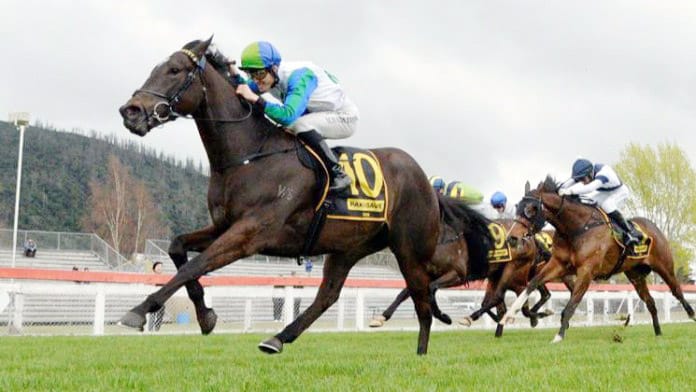 NZB Kiwi contender steps out at Te Rapa