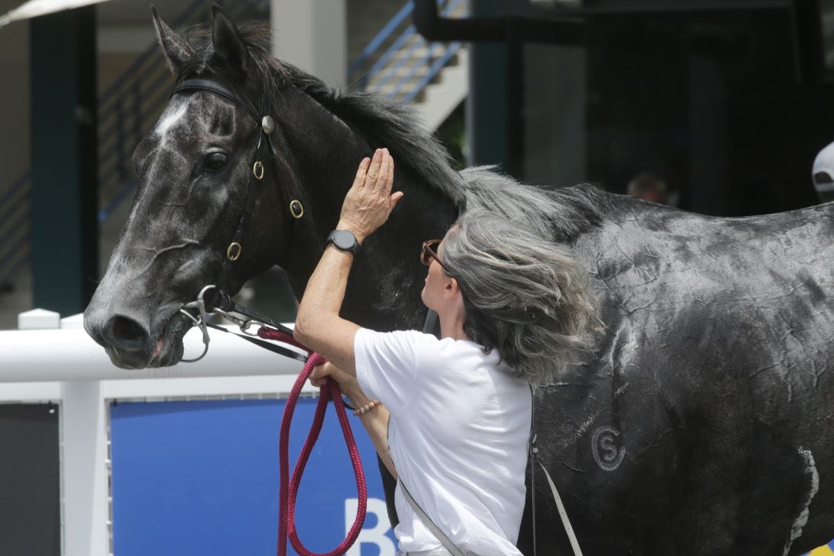 Steely Man provides first winner for German